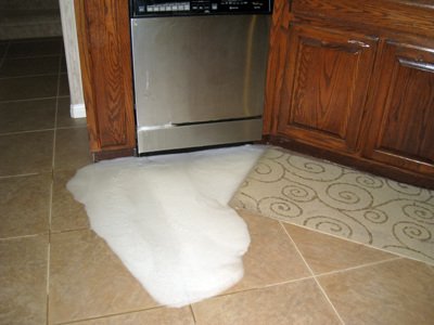 Dishwasher Leaking Water: Causes, Fixes, and Prevention